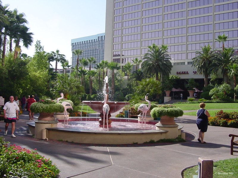 Flamingo - Las Vegas 8-02 006